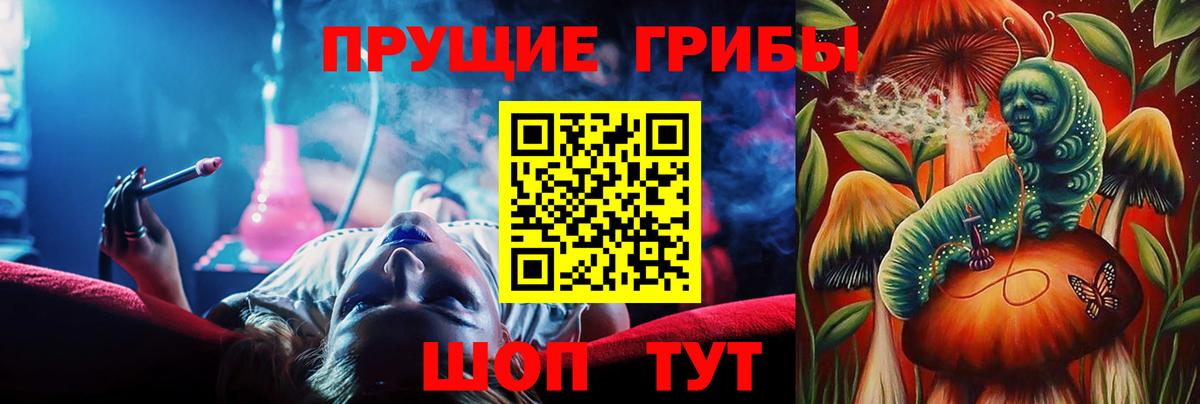 Галлюциногенные грибы Psilocybine cubensis Моздок